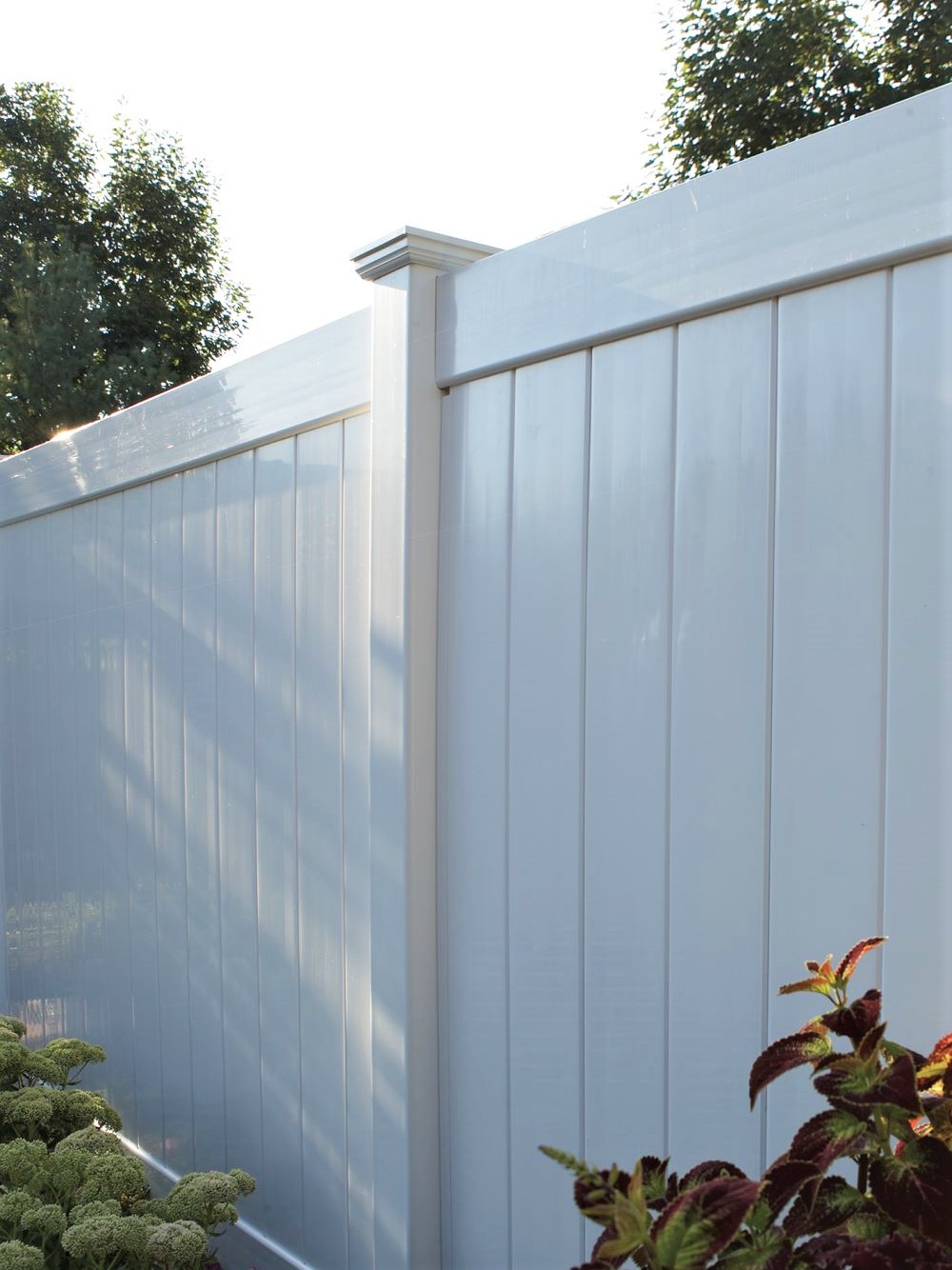 Photo of a white vinyl privacy fence